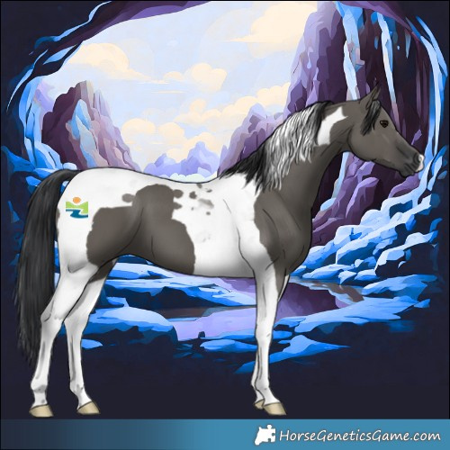 Horse Color:Grullo Tobiano 
