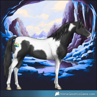 Horse Color:Black Tobiano