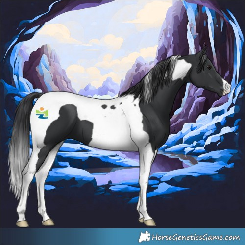 Horse Color:Black Tobiano 