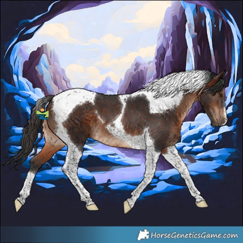 Horse Color:Brown Tobiano 