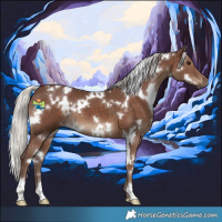 Horse Color:White Spotted Silver Black