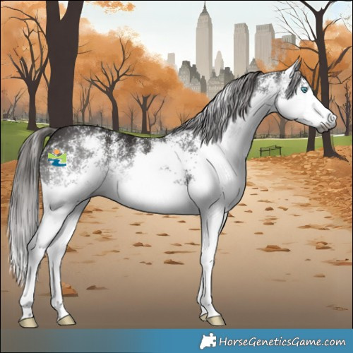 Horse Color:Gray White Spotted Liver Chestnut Splash Varnish 