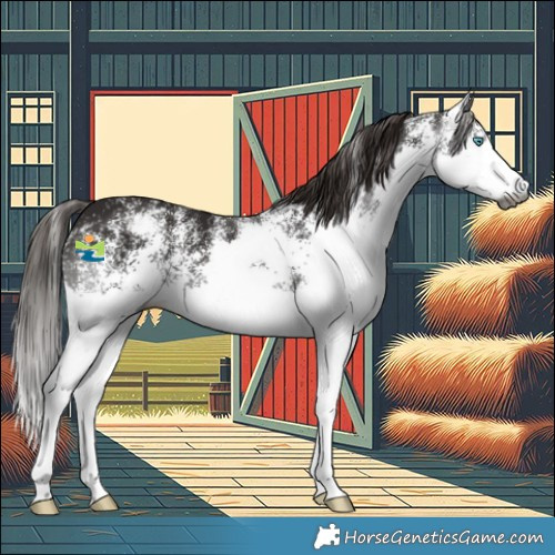 Horse Color:Gray White Spotted Liver Chestnut Splash Varnish 