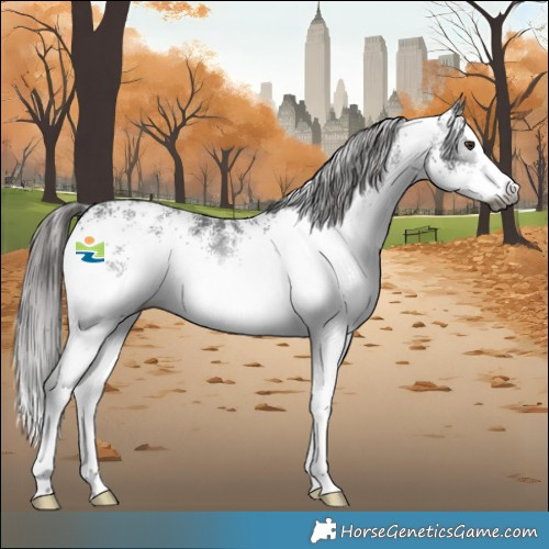 Horse Color:Gray White Spotted Liver Chestnut Splash Varnish 