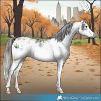 Horse Color:Gray White Spotted Liver Chestnut Splash Varnish