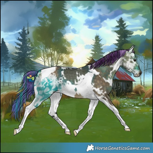 Horse Color:Painted White Spotted Buckskin Ice Dun Tobiano
