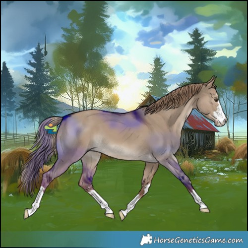 Horse Color:Liver Red Dun 