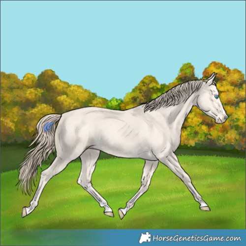 Horse Color:Perlino Dun Splash