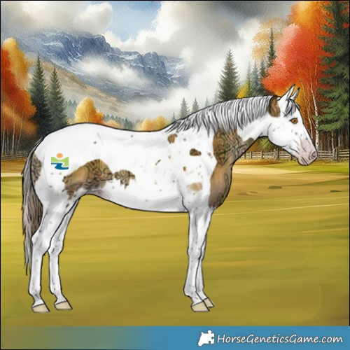 Horse Color:Gray Plaid  Amber Cream Champagne Ice Onyx Splash Tobiano 