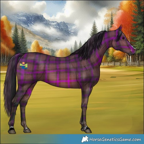 Horse Color:Gray Plaid  Bay 