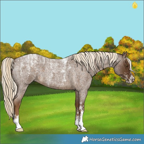 Horse Color:Powder White Chocolate Palomino Roan 