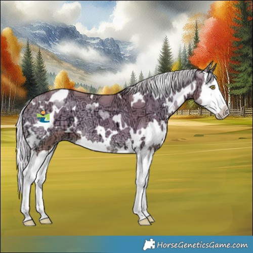 Horse Color:White Spotted Silver Amber Champagne Ice Onyx Splash 
