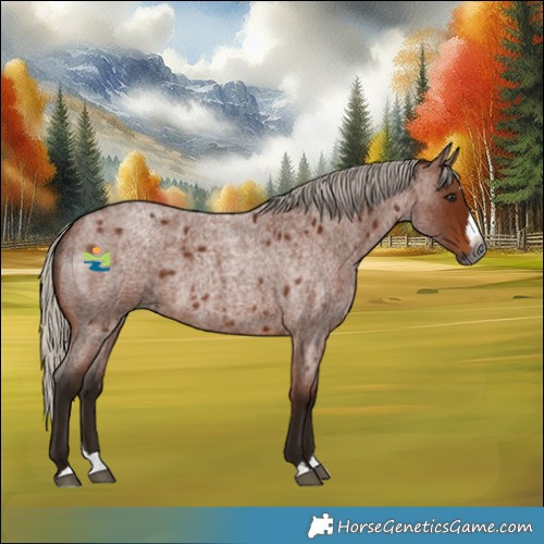 Horse Color:Gray Silver Bay Roan Splash 