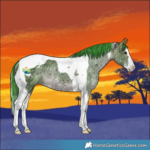 Horse Color:Watercolor Bay Ice Dun Splash Tobiano Appaloosa Rabicano 