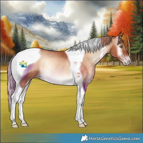 Horse Color:Gold Champagne Onyx Tobiano Rabicano 