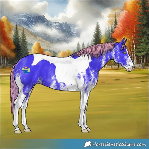 Horse Color:Watercolor White Spotted Liver Chestnut Tobiano Appaloosa Rabicano 