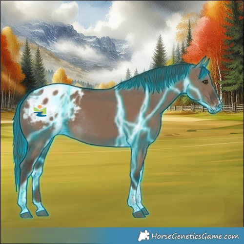 Horse Color:Thunderstruck Liver Red Dun Tobiano Appaloosa Rabicano 