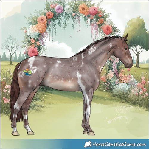 Horse Color:Chocolate Brown Tobiano Rabicano