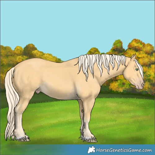 Horse Color:Gold Cream Champagne