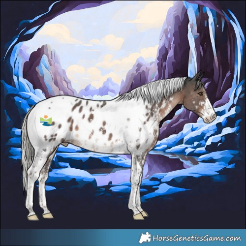 Horse Color:Liver Chestnut Mushroom Sabino Tobiano Appaloosa 