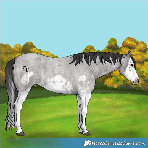 Horse Color:Unknown 