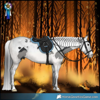 Horse Color:Black Splash Tobiano 