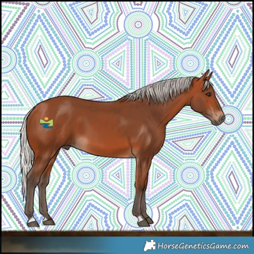 Horse Color:Silver Bay 