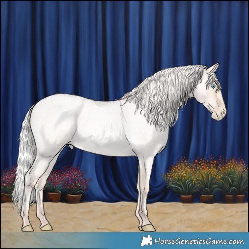 Horse Color:Silver Amber Cream Champagne Roan Pearl 