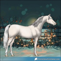 Horse Color:Silver Amber Cream Champagne Pearl 