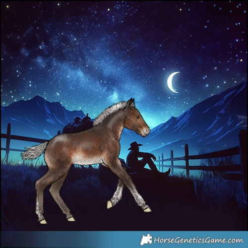 Horse Color:Silver Brown Tobiano 