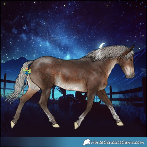Horse Color:Silver Brown Tobiano