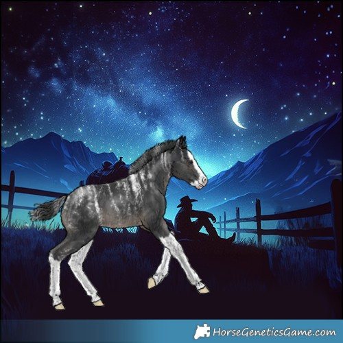 Horse Color:Powder White Black Splash 