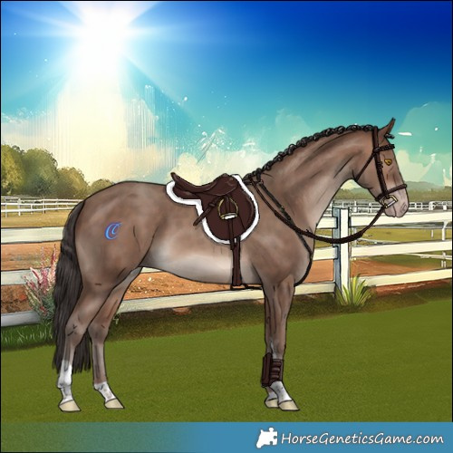 Horse Color:White Spotted Sable Champagne Tobiano