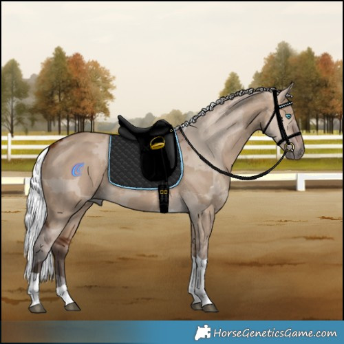 Horse Color:Silver Brown Dun Merle Tobiano Rabicano 