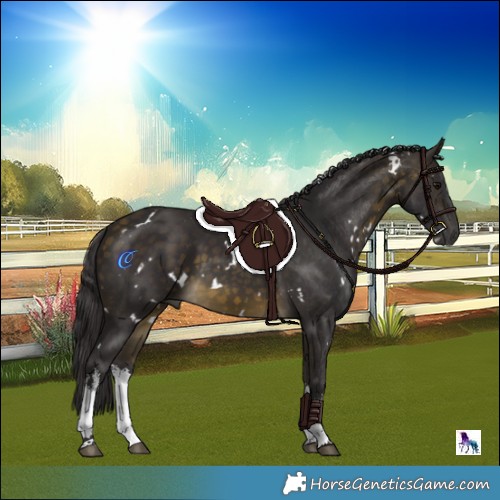 Horse Color:White Spotted Buckskin 