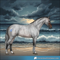Horse Color:Brown Roan Merle Tobiano Rabicano 
