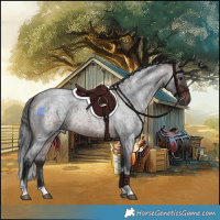 Horse Color:Brown Roan Merle Tobiano Rabicano