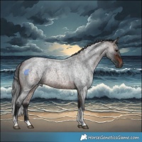 Horse Color:Brown Roan Merle Tobiano Rabicano 