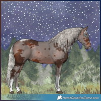 Horse Color:Silver Brown Merle Tobiano Rabicano 