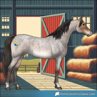 Horse Color:Bay Roan 