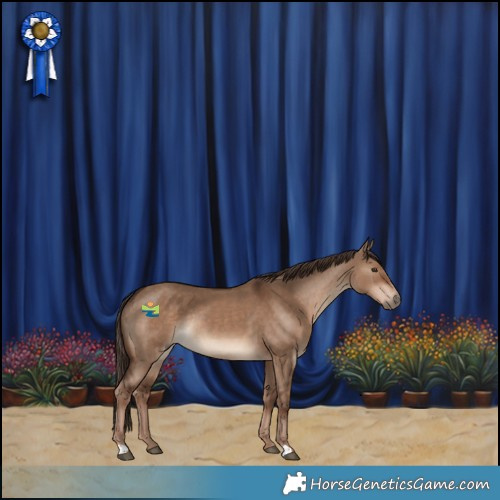 Horse Color:Liver Red Dun Rabicano