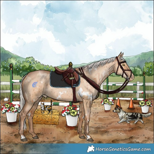 Horse Color:White Spotted Silver Bay Pearl Dun Rabicano Brindle