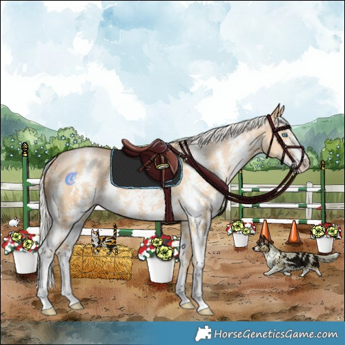Horse Color:Silver Buckskin Pearl Sabino Rabicano
