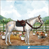 Horse Color:Silver Buckskin Pearl Sabino Rabicano 