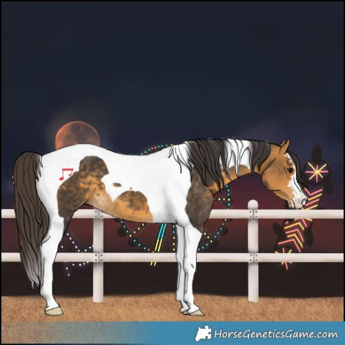 Horse Color:Buckskin Tobiano 