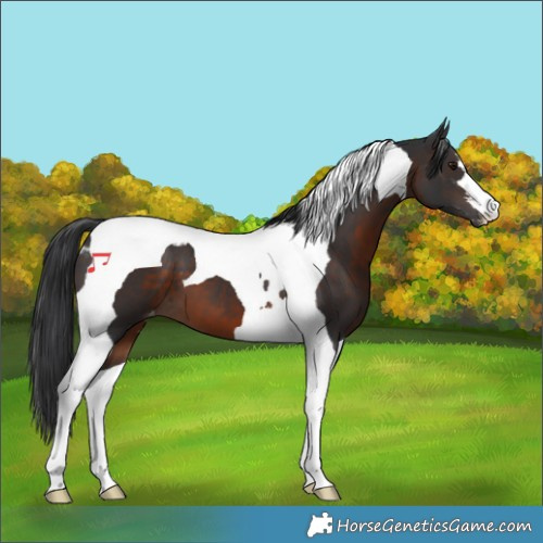 Horse Color:Brown Tobiano Skewed LP Spotted