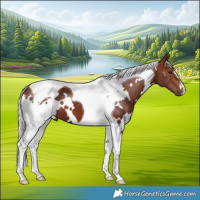 Horse Color:White Spotted Chocolate Silver Brown Tobiano