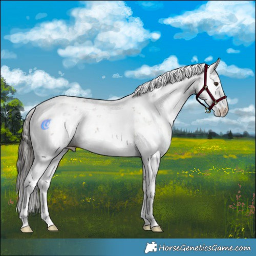 Horse Color:Liver Red Dun Sabino 
