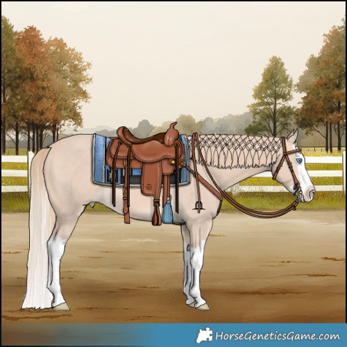 Horse Color:Perlino Splash