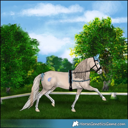 Horse Color:Perlino Splash 